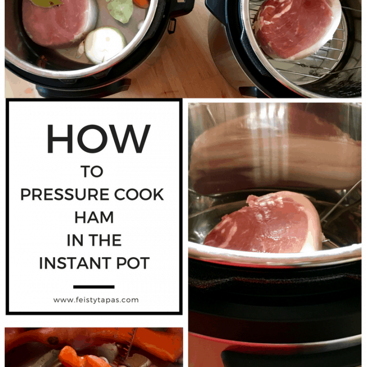 Instant Pot Unboxing Video Feisty Tapas