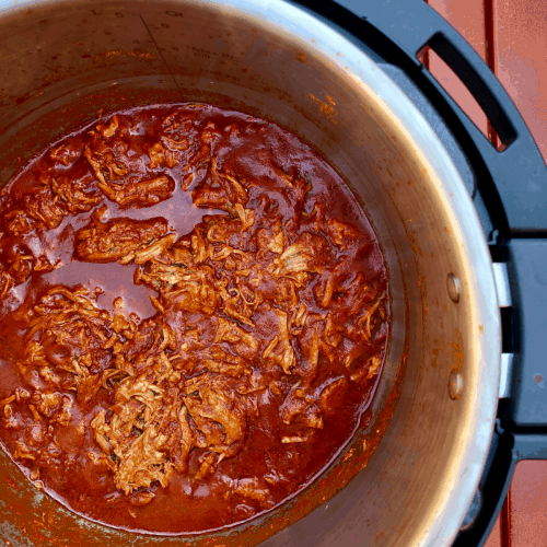 Easy Instant Pot BBQ Pulled Pork Recipe by Feisty Tapas