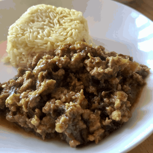 Instant Pot Pork and Aubergine