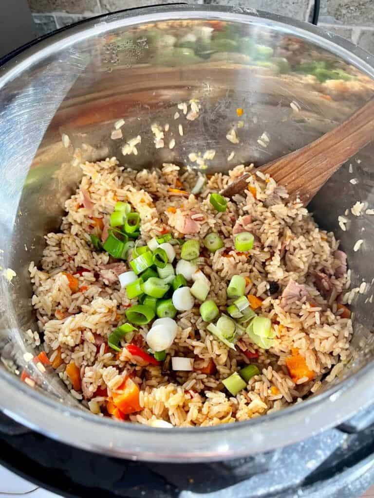 Pressure Cooker Egg Fried Rice-ish - Savoury rice- with spring onions - still in the inner pot