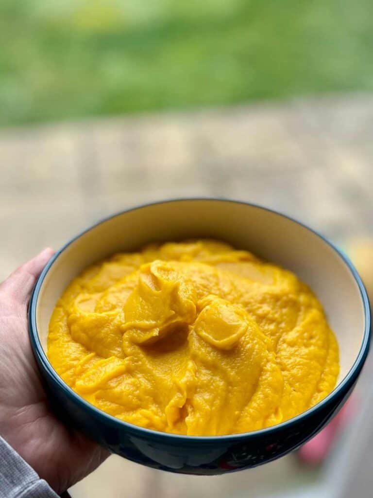 Carrot and Swede Mash in a white bowl with a blue outer, a left hand is holding it and there's a garden in the background