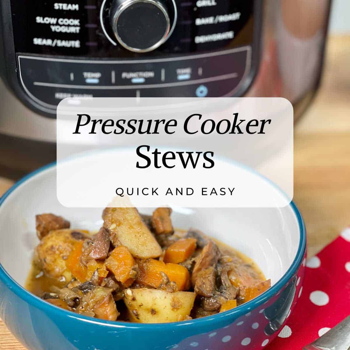 Photo of Feisty Tapas Mushroom Stew seen inside a bowl, with the words Pressure Cooker Stews Quick and easy