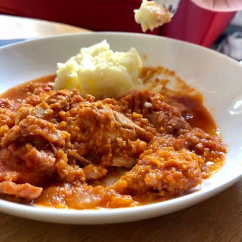 Photo of Instant Pot Turkey Stew served with mash on a white dish